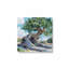 «A Tree That Adapts to change» par Kate Jarvik, reproduction d'art sur toile-102597050