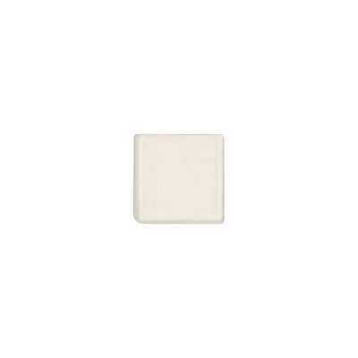 Traditions 2'' L x 2'' W Ceramic Bullnose Tile Trim