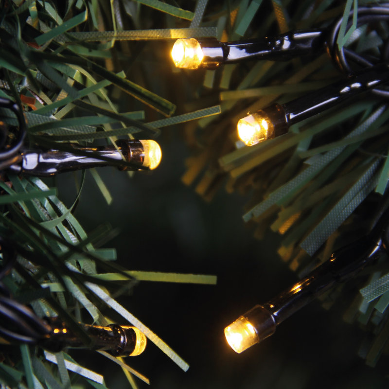 264cm LED Battery Powered 50 - Bulb Fairy String Light, Warm White