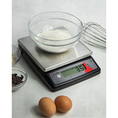 Taylor Digital Scale