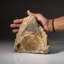 Stone Decorative Object