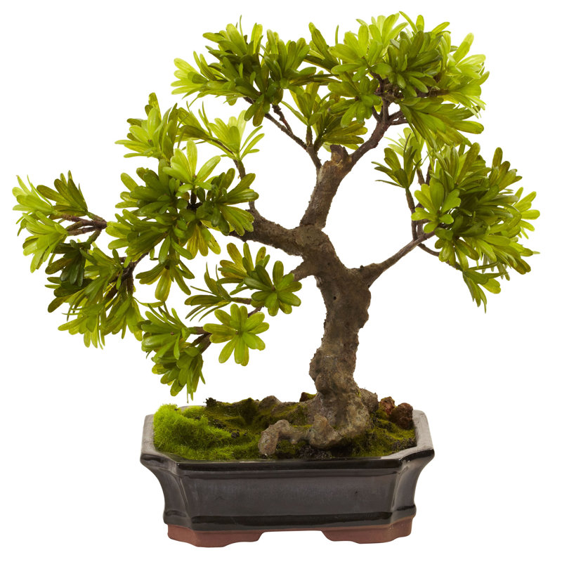 14'' Faux Bonsai Tree in Ceramic Planter