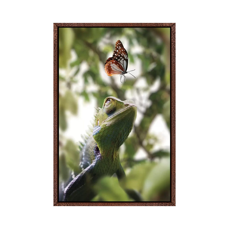 Chameleon And Butterfly by Zenja Gammer - Print on Canvas, Classic Brown Wood Framed, 66.04 cm H x 45.72 cm W