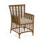 Bridgehampton Arm Chair-49956643-101213262