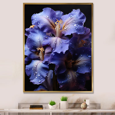 Chanax " Purple Majestic Iris Black II "