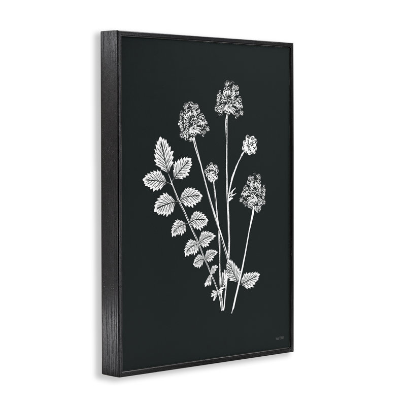 «Herb Bunches Impression Art» par House Fenway bg-174, H 18 po x l 12 po, Giclée encadrée noir minuit
