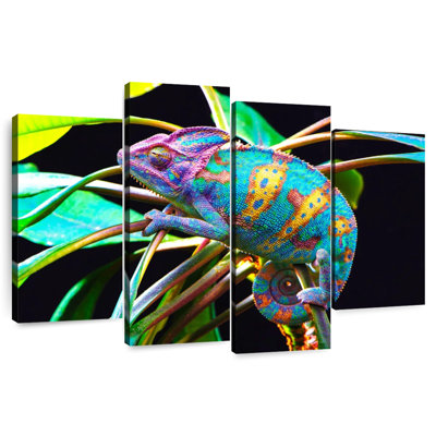 Chameleon