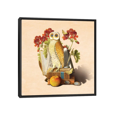 Diogo Verissimo " Apprentice Owl " by Diogo Verissimo