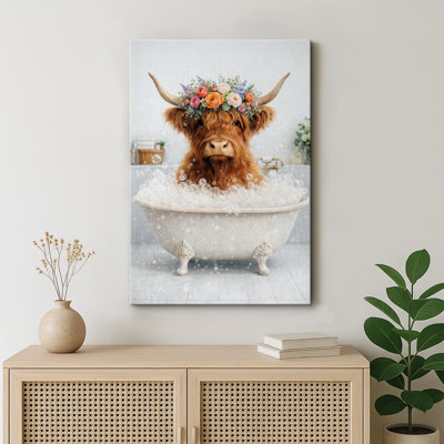 Highland Cow