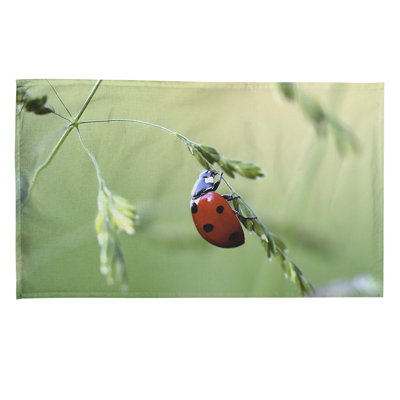 Serviette de thé coccinelle