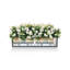 Balconera Window Box Planter-16493007-16493011