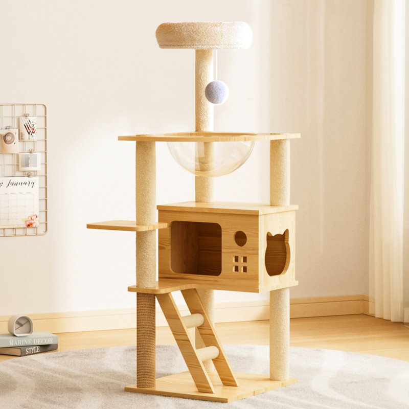 Arbre à chat de 48,8 po avec poteaux à griffes, acrylique et perchoir supérieur pour petits chats d'intérieur, construction élégante, tour moderne, confort idéal