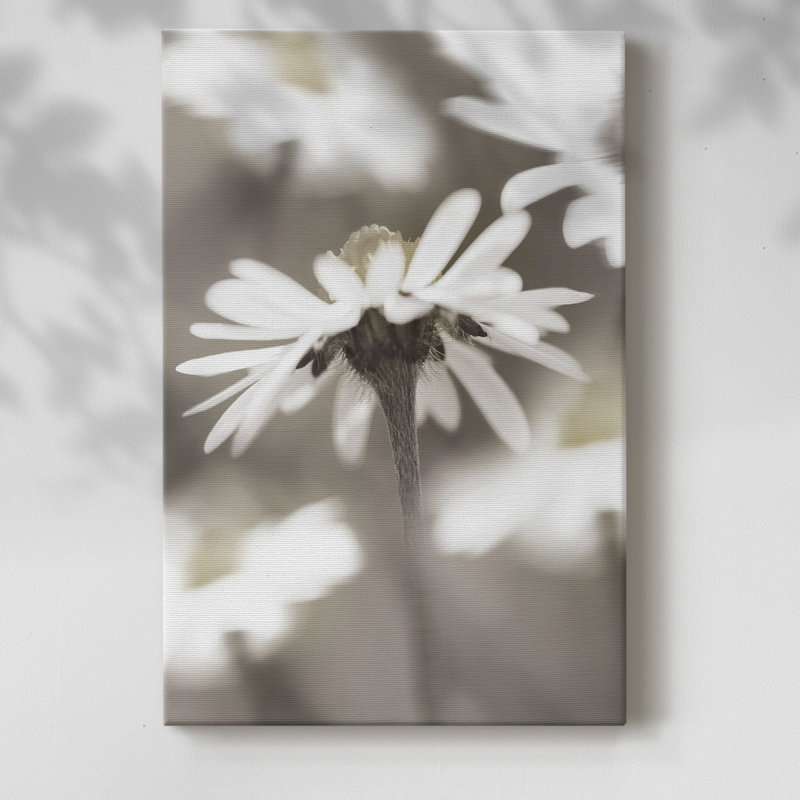 Daisy II stylisé - Cavas enveloppés de galerie, H 36 po x l 24 po