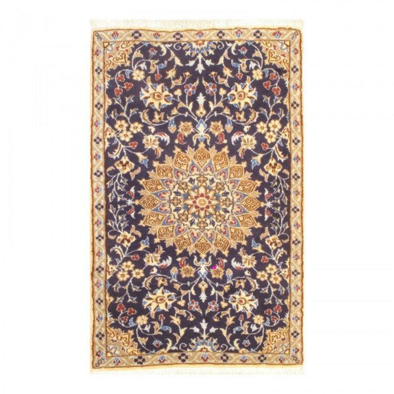 Mirhan Oriental Area Rug in Ivory
