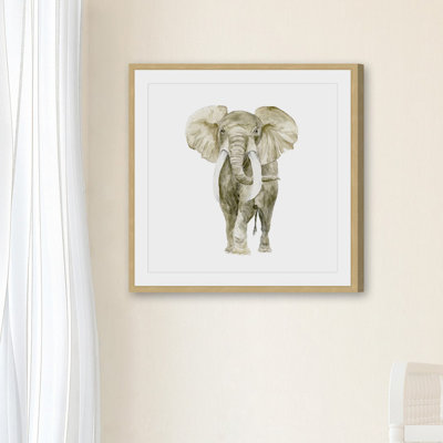 «Baby Elephant I», reproduction encadrée