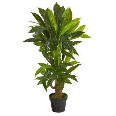 Corn Stalk Dracaena Artificial Plant