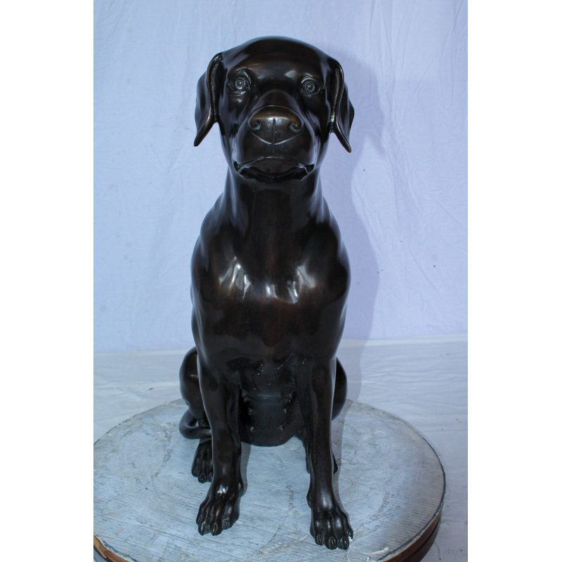 Grande statue de chien Labrador en bronze bronze posant assis 22 po x 12 po x H 27 po