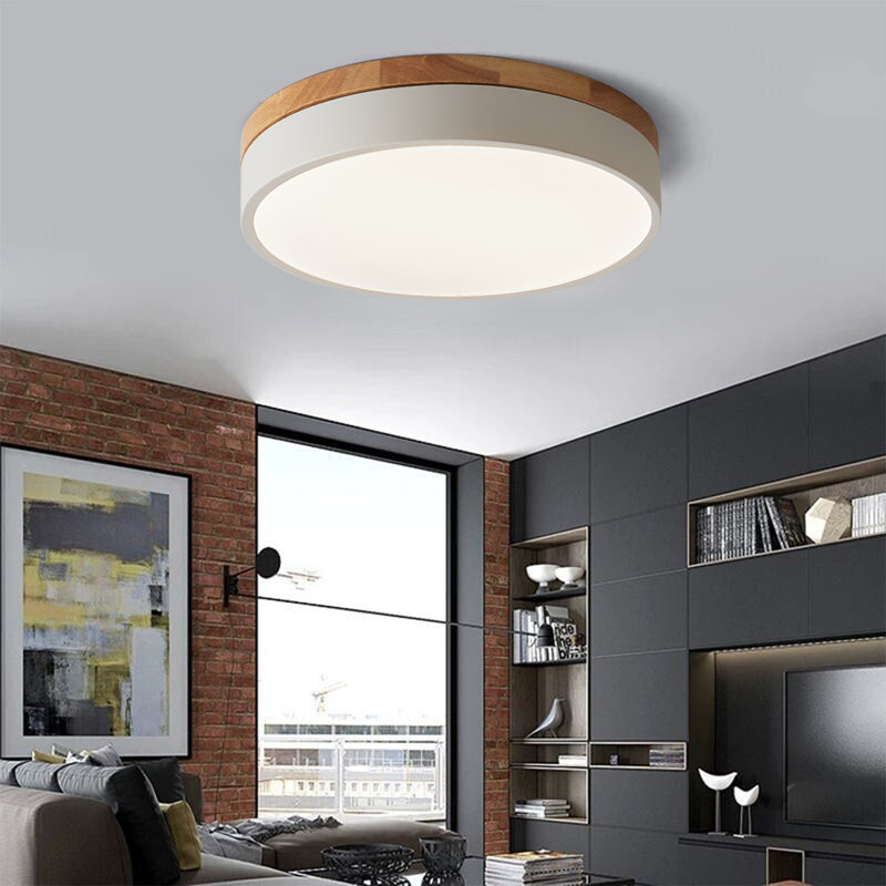 Circle Modern Led Flush Mount Ceiling Light, 4500 Kelvins, Silver