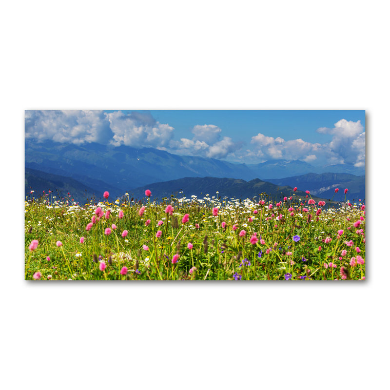 Meadow In The Mountains - Wrapped Canvas Print