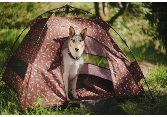 Tente d'extérieur pour chien Scout & About, Moka