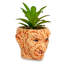 Plante grasse artificielle 6,5 "en pot