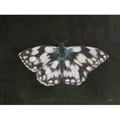 Garden Beauties IV Black by Julia Purinton