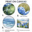 Hortensias dans le jardin côtier III - Hydrangées, reproductions encadrées-944086329-944086326-944086320