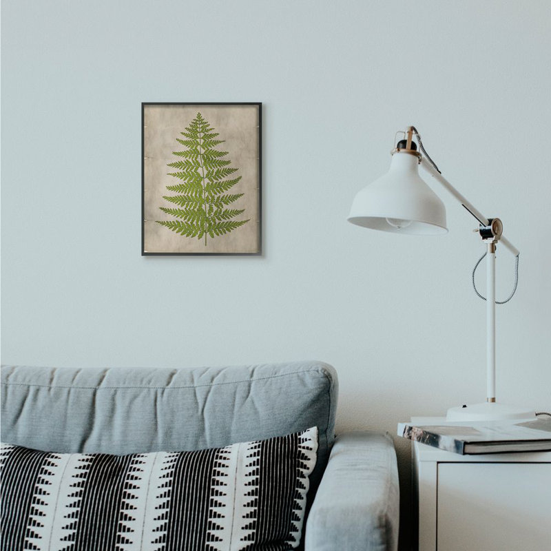 « plante green parchemin », impression, Giclée encadrée noir minuit, H 11 po x l 14 po x P 1,5 po