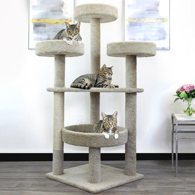 Maine Coon 61'' H Cat Tree