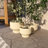 Destina 3-Piece Ceramic Pot Planter Set-854306428