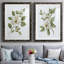 «Magnolia Morning I», reproduction encadrée de qualité supérieure - prête à être accrochée-152898337-152898351