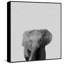 Elephant Surprise II - Drawing on Canvas-402635585