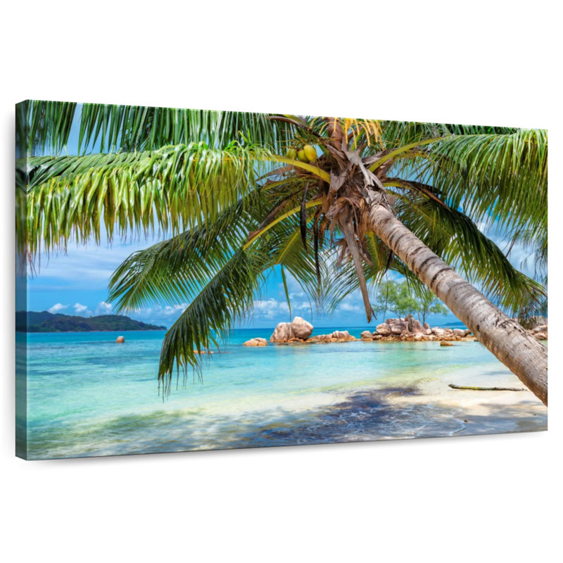 Gillard Coastal Palm, H 32 po x l 48 po