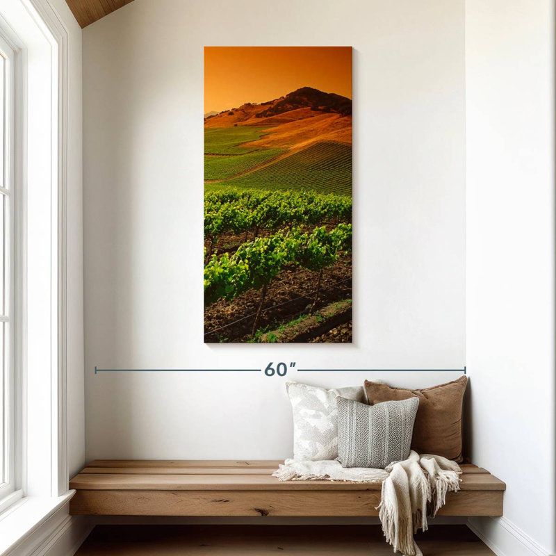 Carneros Vineyard Twilight, H 48 po x l 24 po