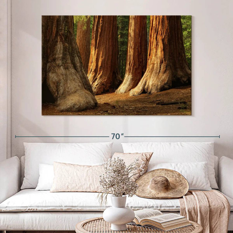 Harnek Ancient Sequoia Trees