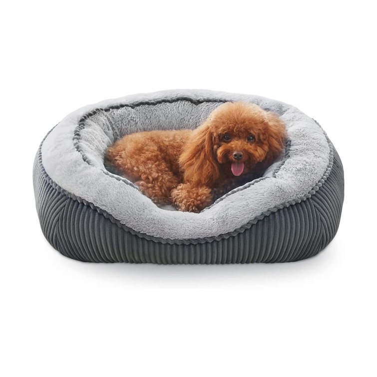 Pet Bed Accessories Dog House with Mattress Removable Dog Kennel