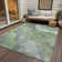 Machine Washable Indoor/Outdoor Xhevrie Green Rug
