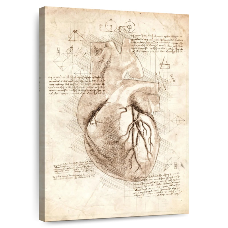 Keiri Human Heart, 30" H x 20" W