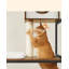 146cm H Cat Tree-99335679