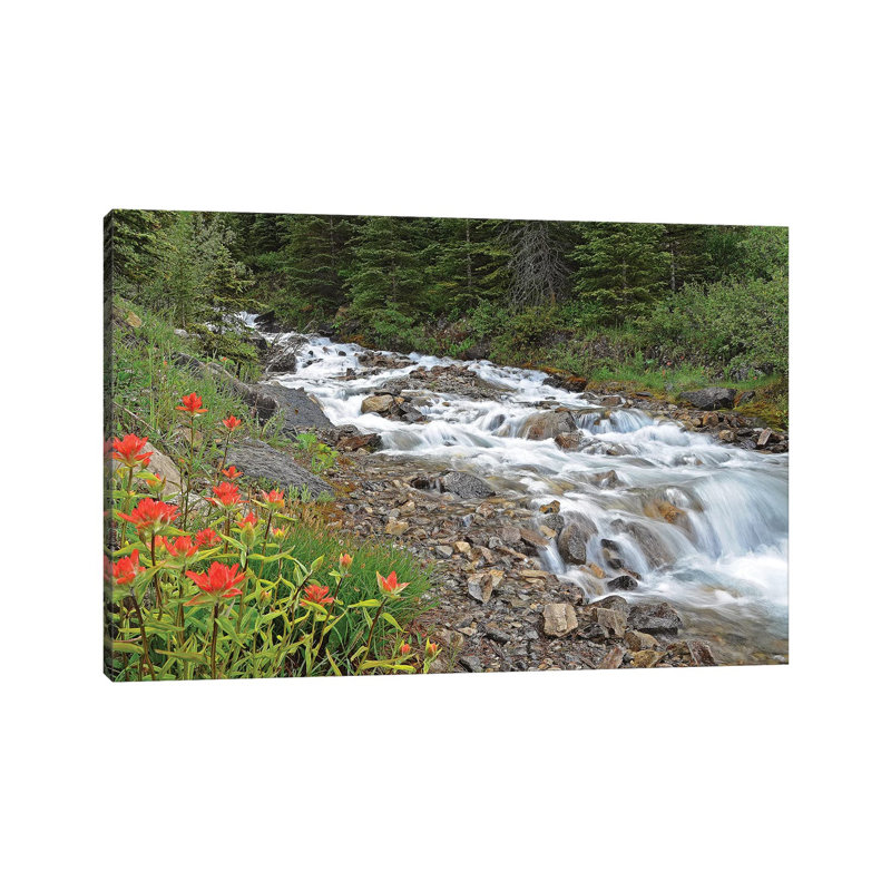 Paintbrush And Stream by Brian Wolf - Wrapped Canvas Print, 20.32cm H x 30.48cm W x 1.91cm D