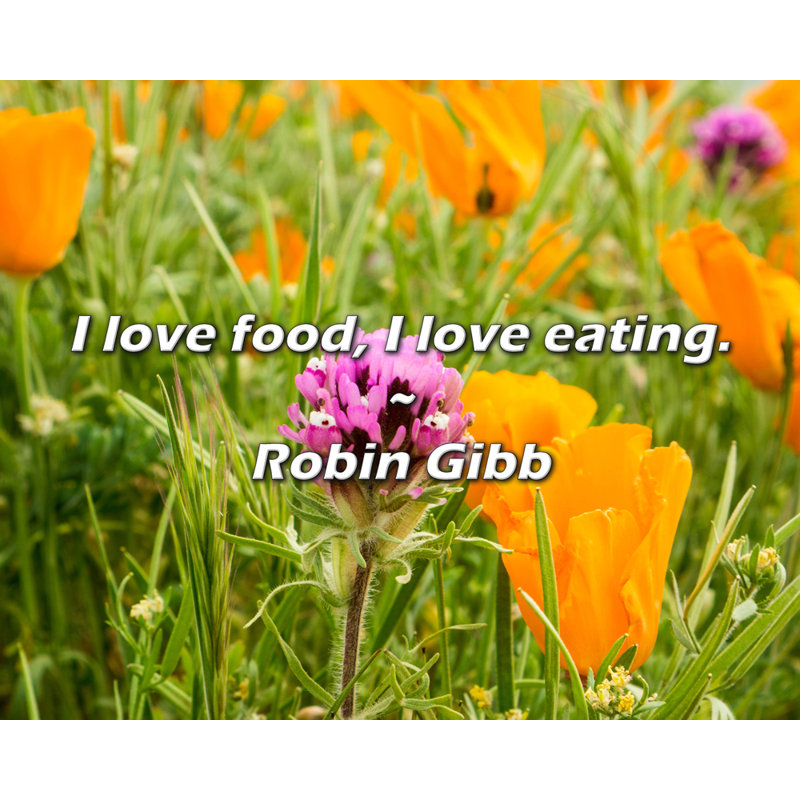 Robin Gibb Quote: I love food, I love eating., 15" H x 18" W