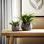 Sagebrook Home 2-Pieces Petal Planters, White-1839343014-1830942933