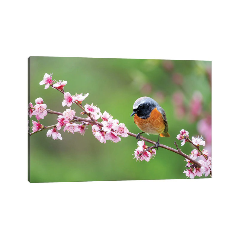 Spring Bird by Mateusz Piesiak - Wrapped Canvas Print, 20.32 cm H x 30.48 cm W