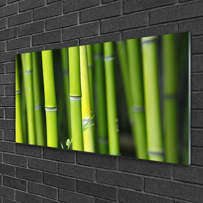 Bamboo 1 Piece Wall Art on Glass