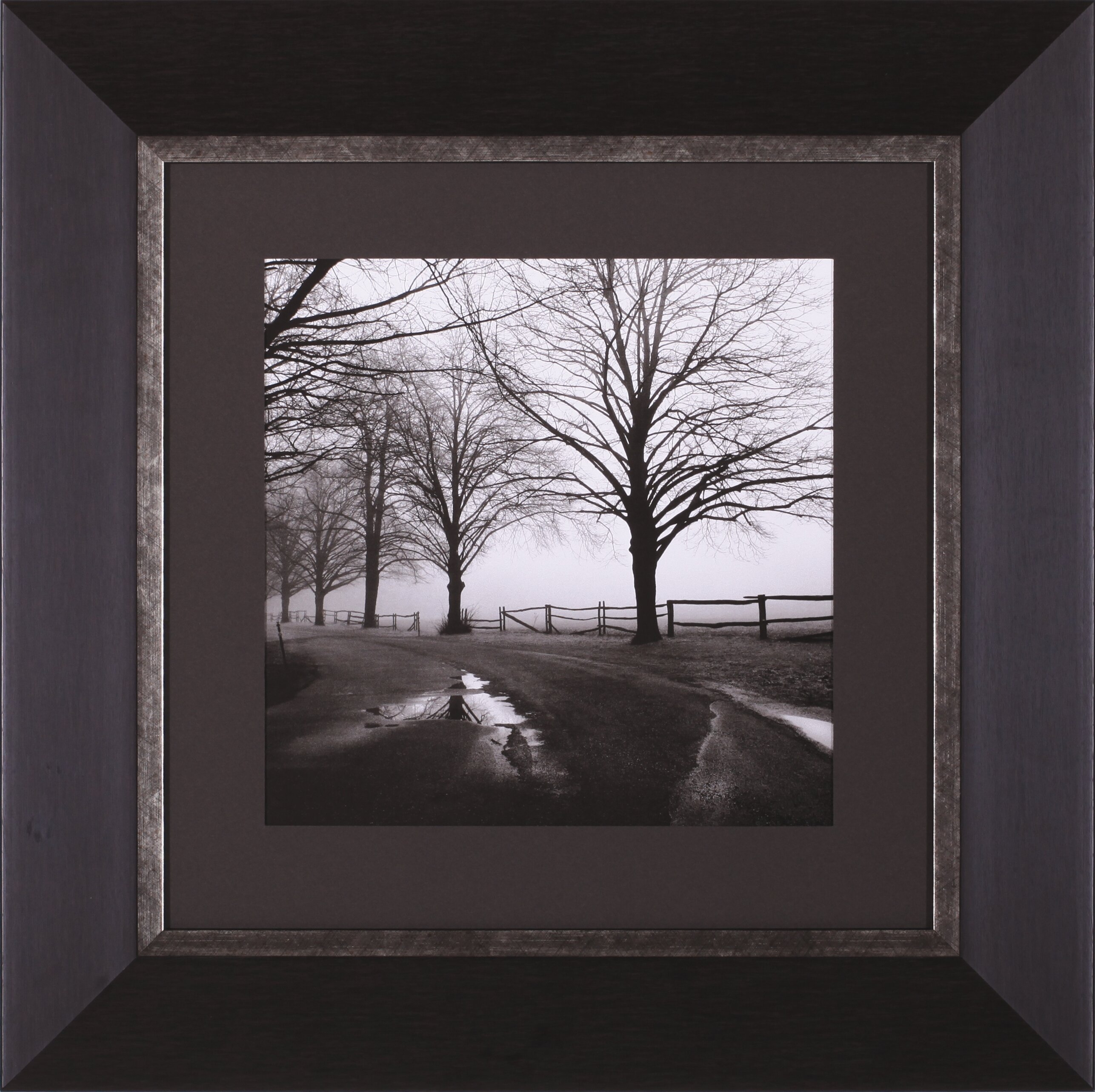 Art Effects After the Rain by Harold Silverman Framed Photographic ...