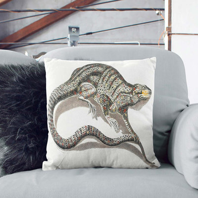 Square Throw Cushion