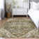 Ceajay Oriental Indoor Rug