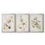 Pl. «194 Canadian Titmouse», ensemble de 3 reproductions d'art sur toile encadrées-1877724126-1877724127