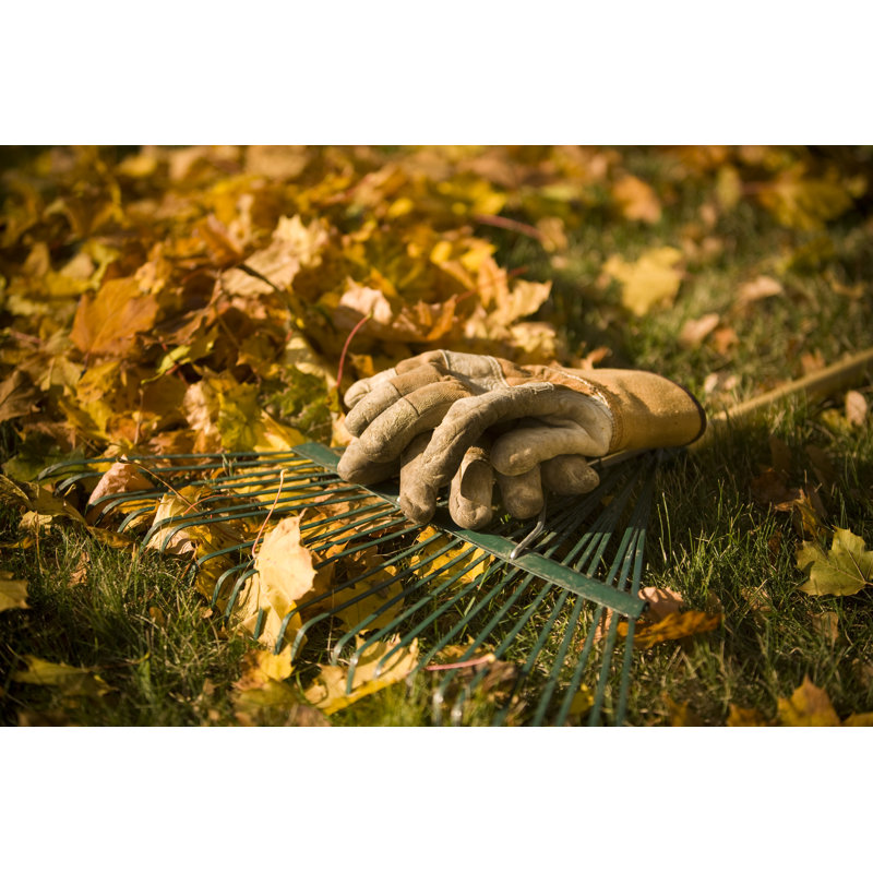 Ramasser les feuilles en automne par Pgiam, H 8 po x l 12 po