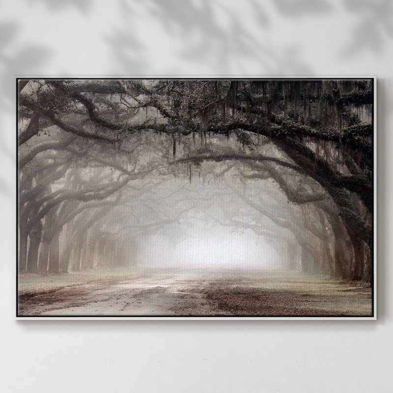 «Timeless Plantation Drive», reproduction sur toile avec cadre flottant